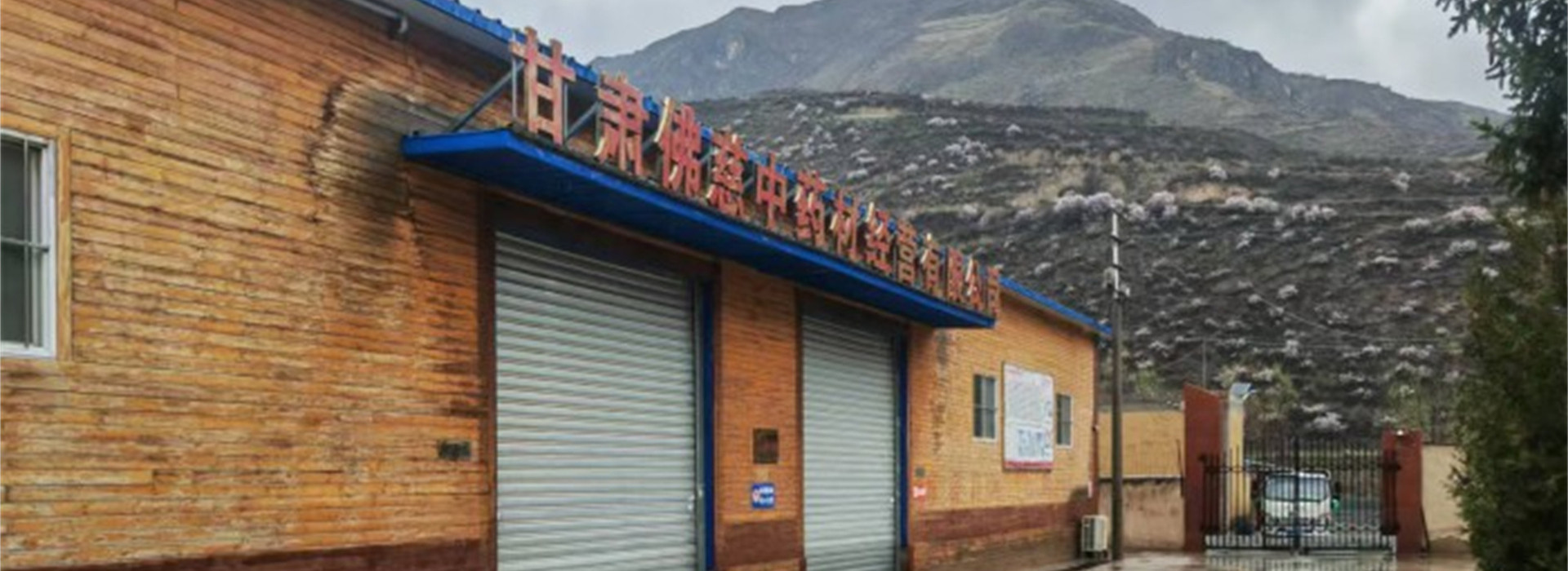 甘肃佛慈中药材经营有限公司首页大图