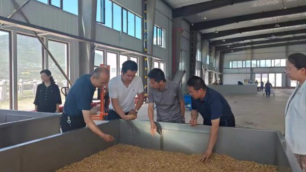 公司分采