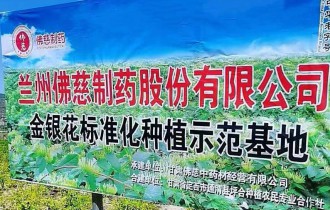 公司风采
