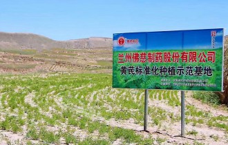 公司风采