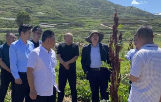 公司风采